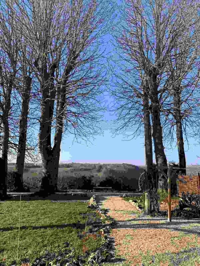 La Flavignienne Panzió Flavigny-sur-Ozerain Kültér fotó